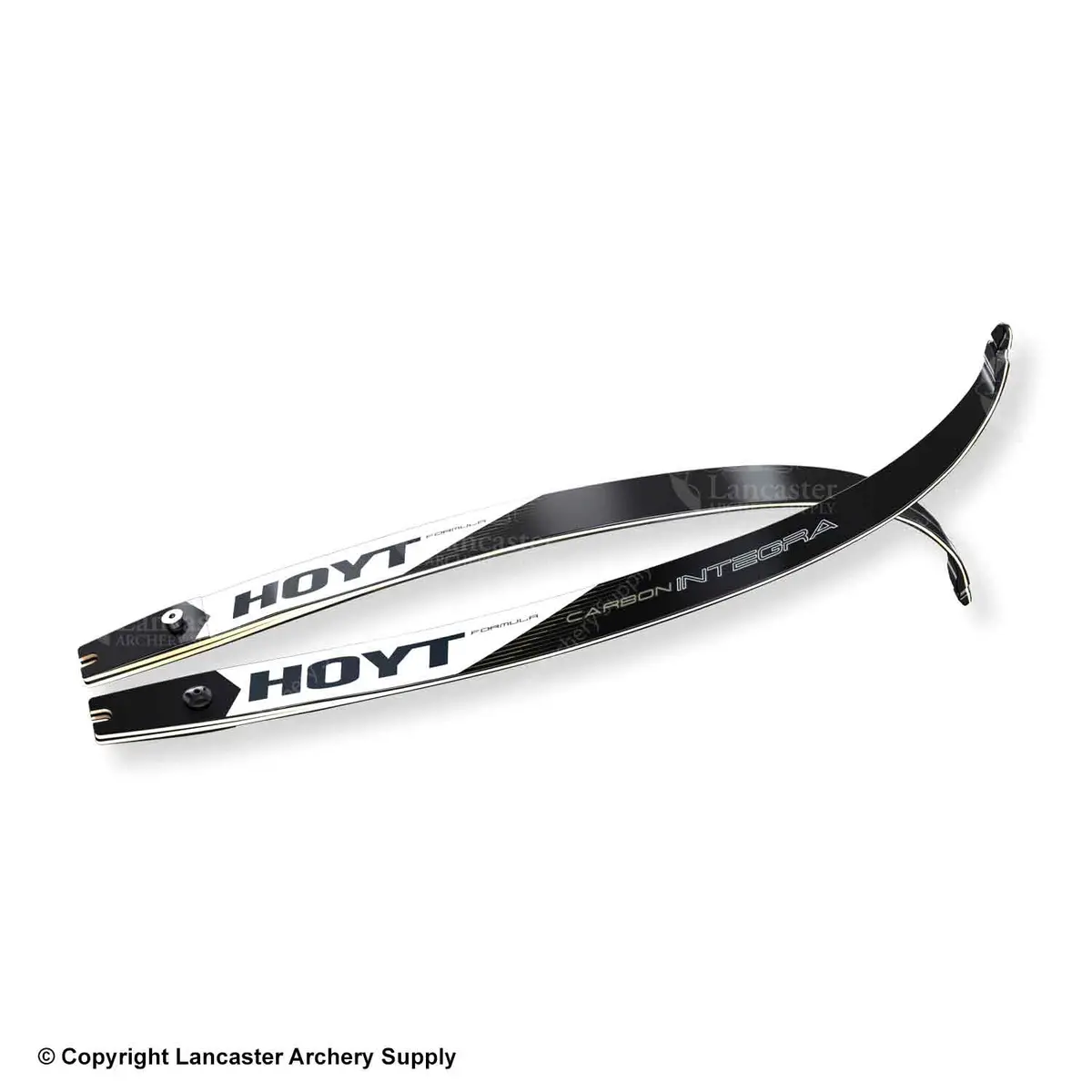 Hoyt Carbon Integra Formula Target Recurve Limb (Matte Finish) 1