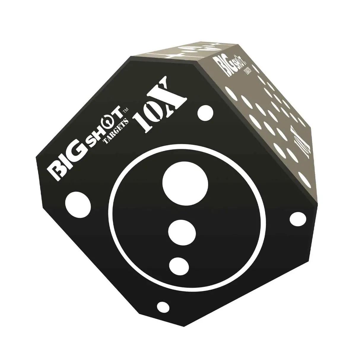 Bigshot Titan 10X Broadhead Target 1