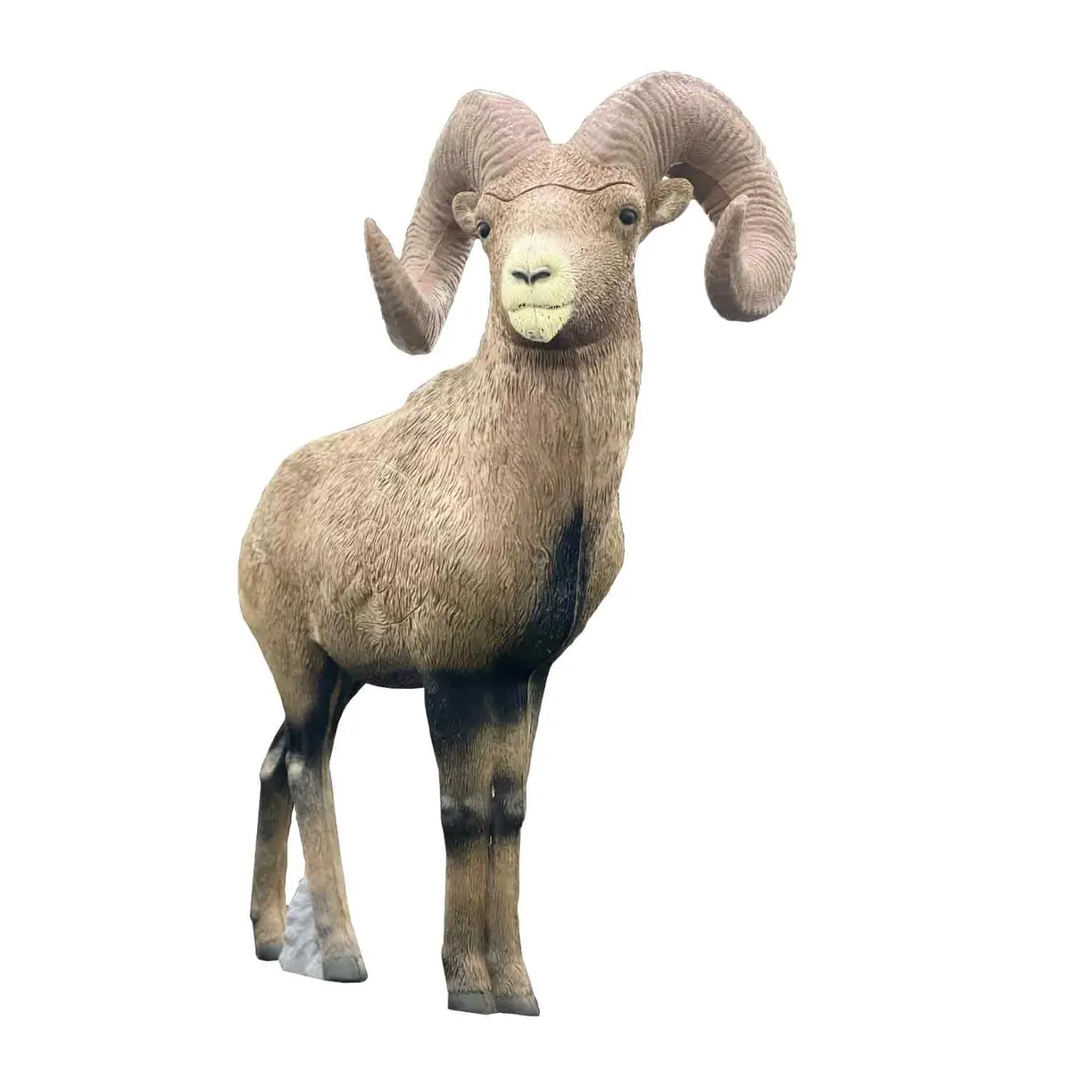 Rinehart Big Horn Sheep Target 1