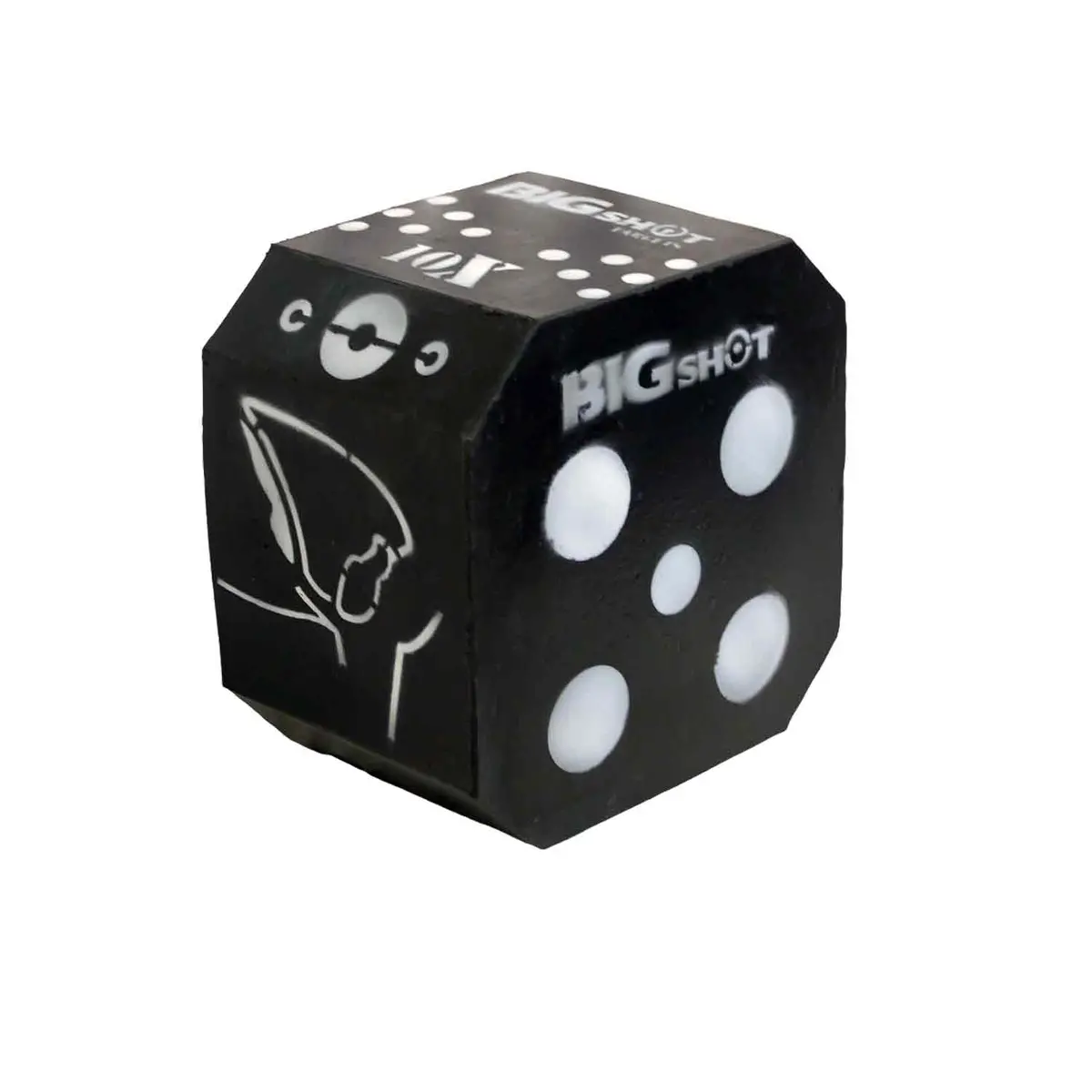 Bigshot Titan 10Xs Broadhead Target 1
