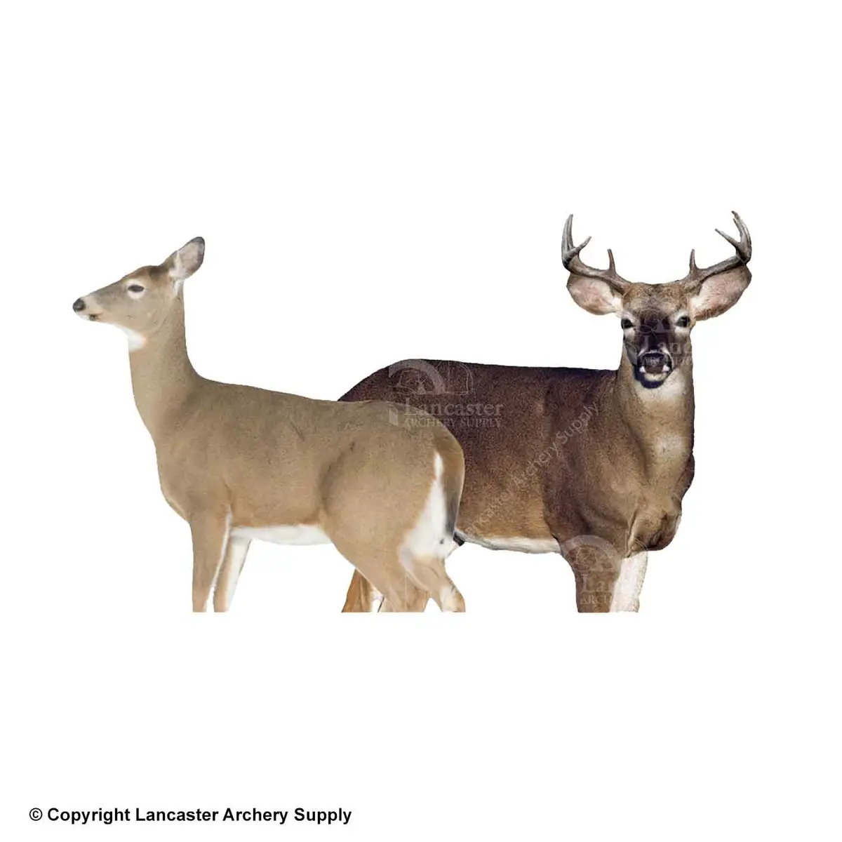 Montana Decoy Dream Team Deer Combo Decoy Set 1