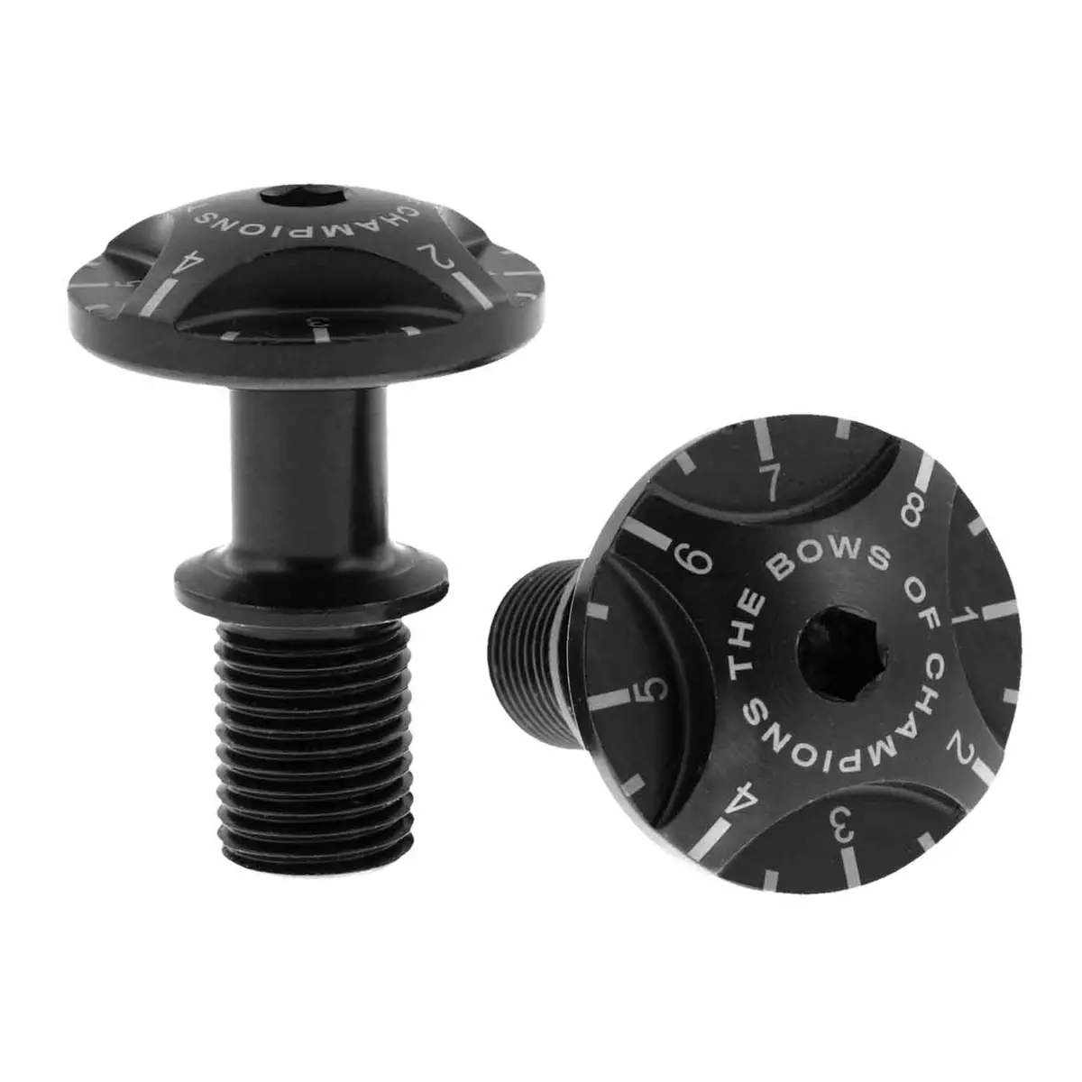 Hoyt Pro Series Limb Bolts 1