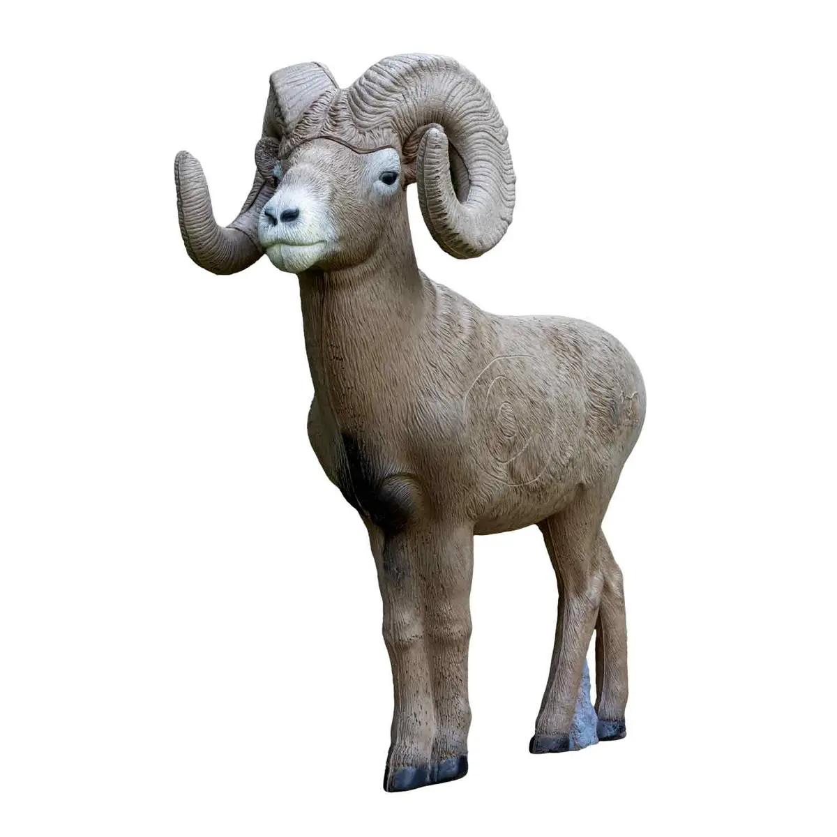 Rinehart 1/2 Scale Signature Bighorn Sheep 3D Target 1