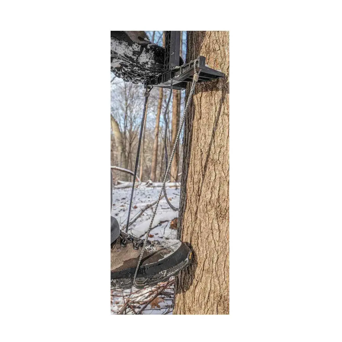 Latitude Outdoors Amsteel Single Step Aider 1