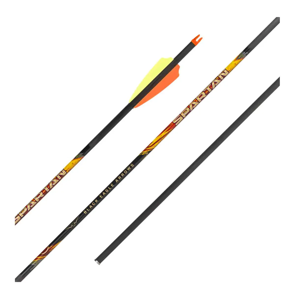 Black Eagle Spartan V2 Fletched Arrows (.001) 1
