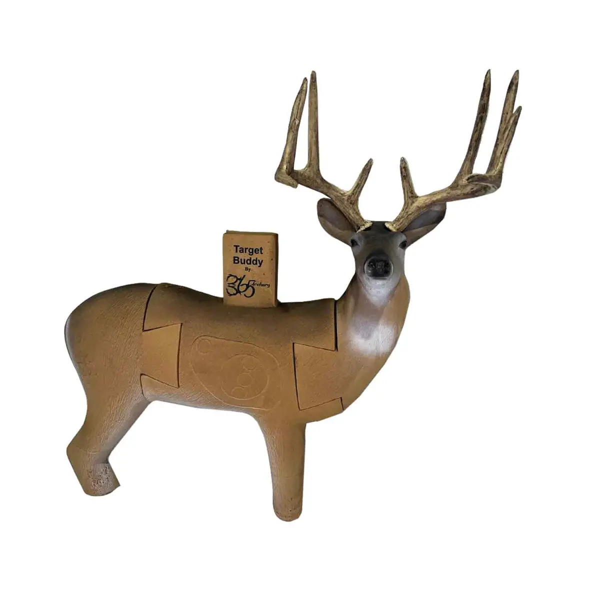 365 Archery Target Buddy 3D Whitetail Target 1