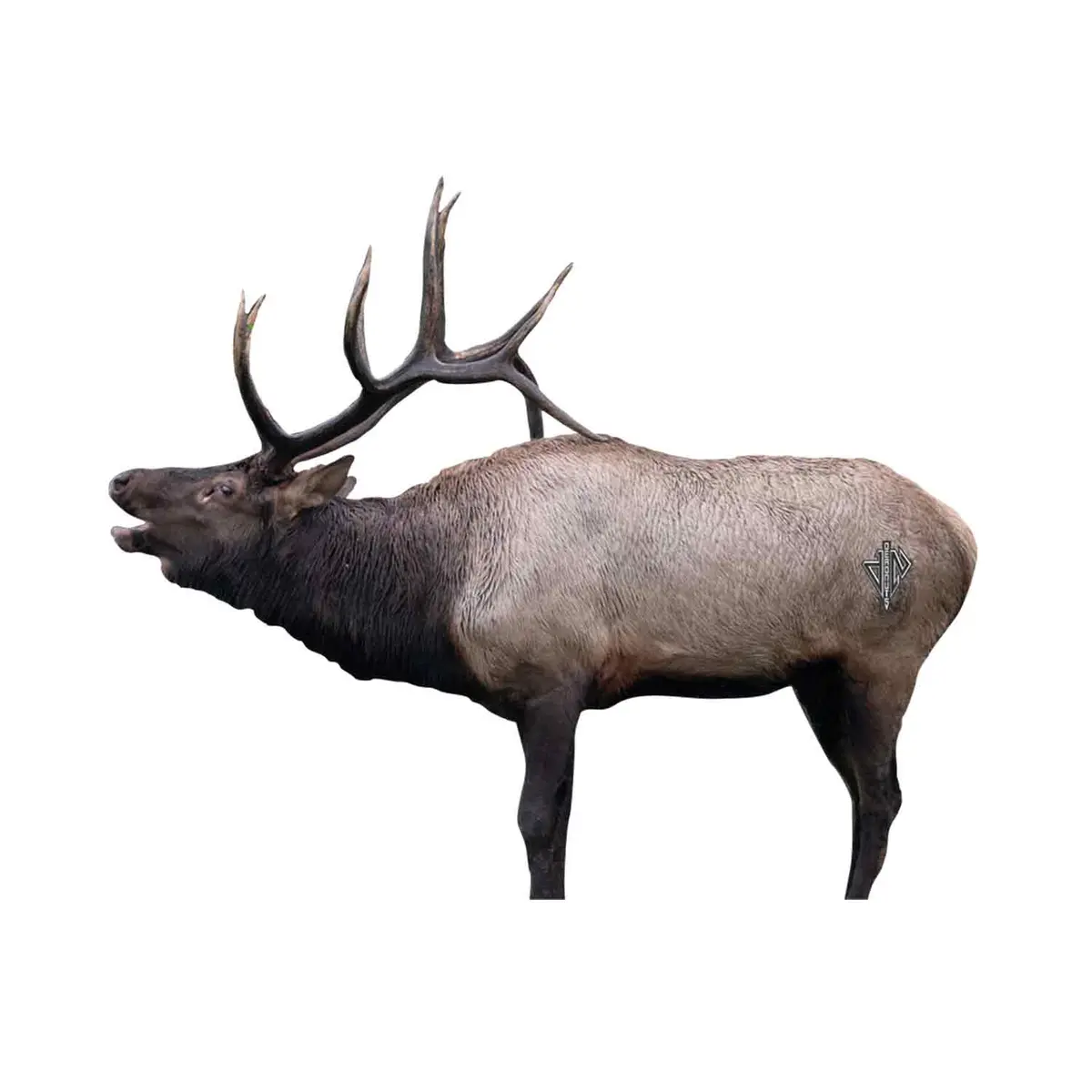 Deadnuts Outdoors 2D Bull Elk Broadside Quivar Target 1