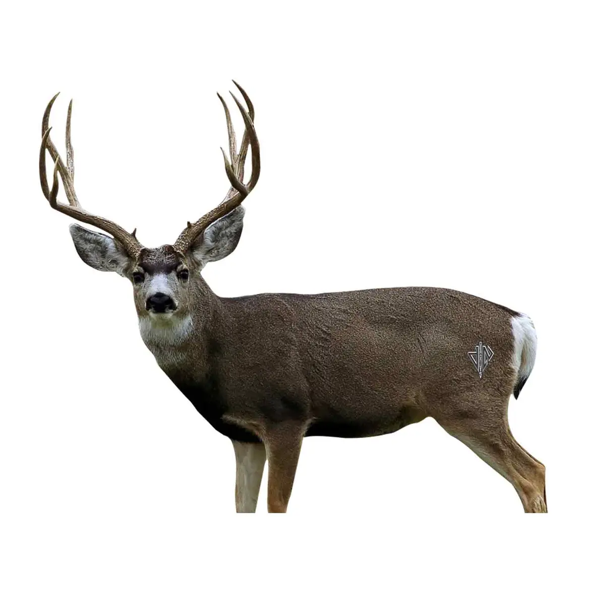 Deadnuts Outdoors 2D Mule Deer Broadside Quivar Target 1
