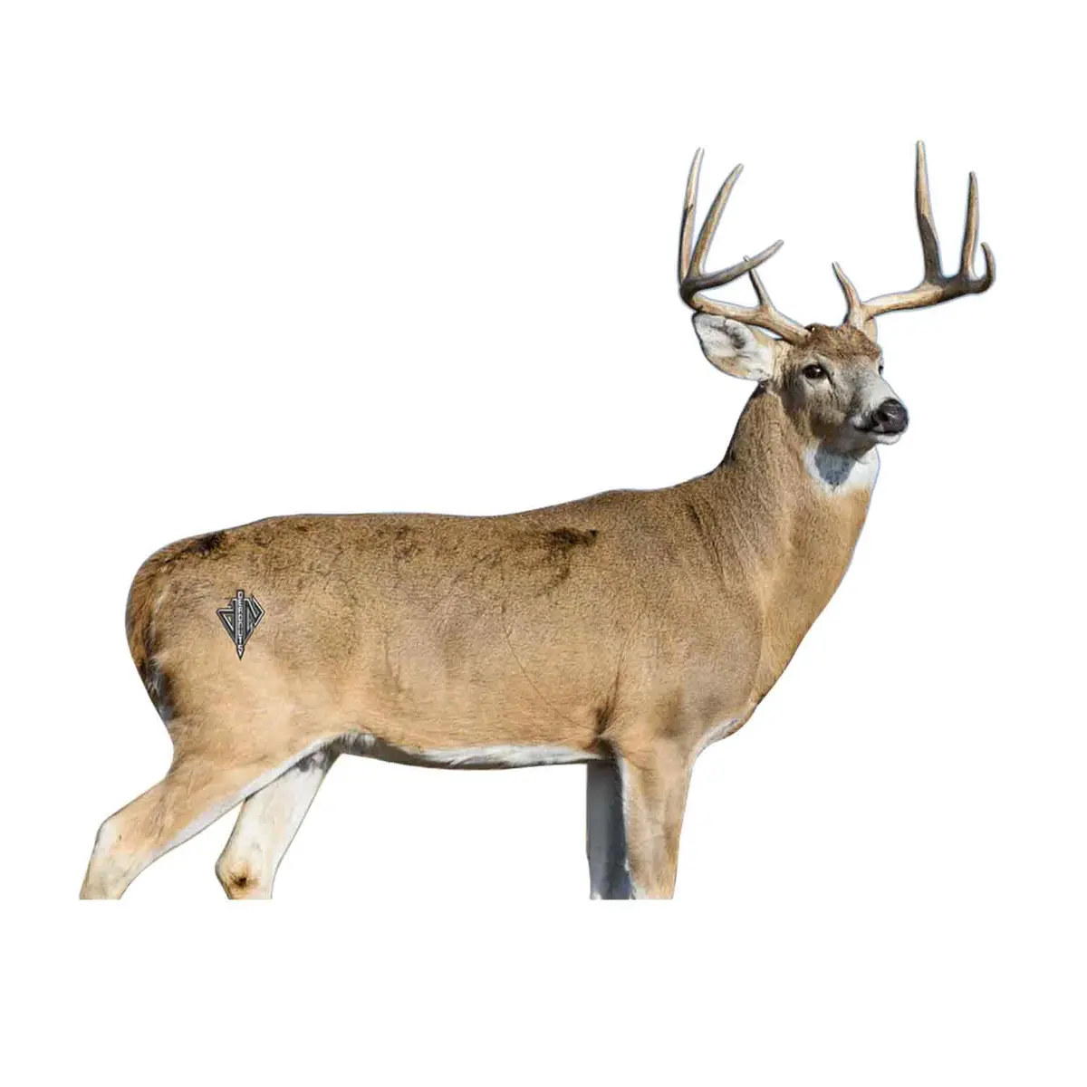 Deadnuts Outdoors 2D Whitetail Willy Broadside Quivar Target 1