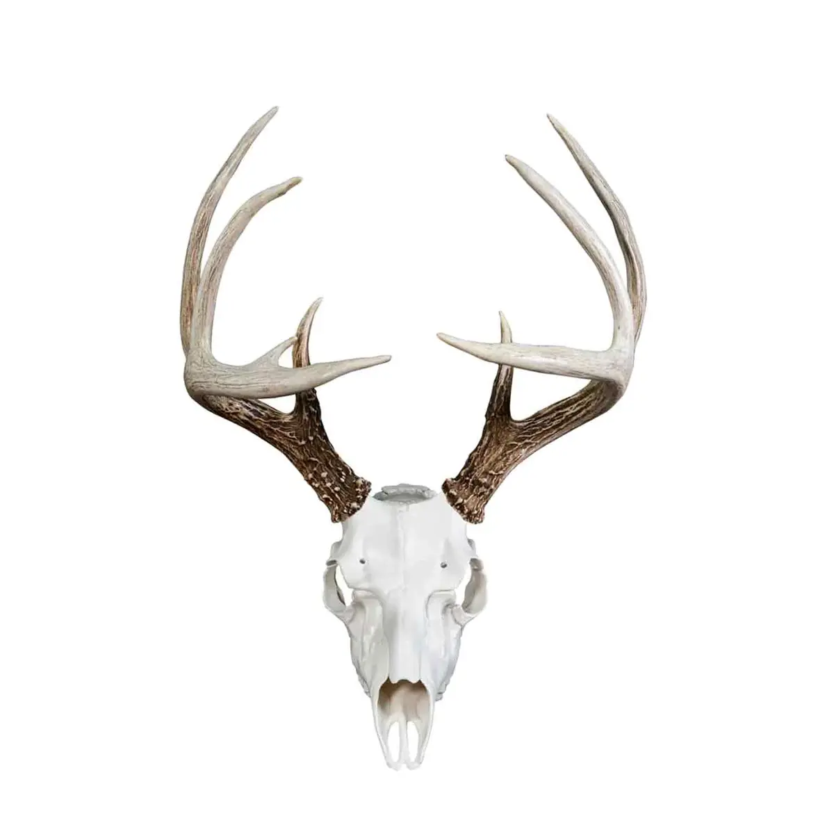 Illusion Skull Master White European Mounting System 1