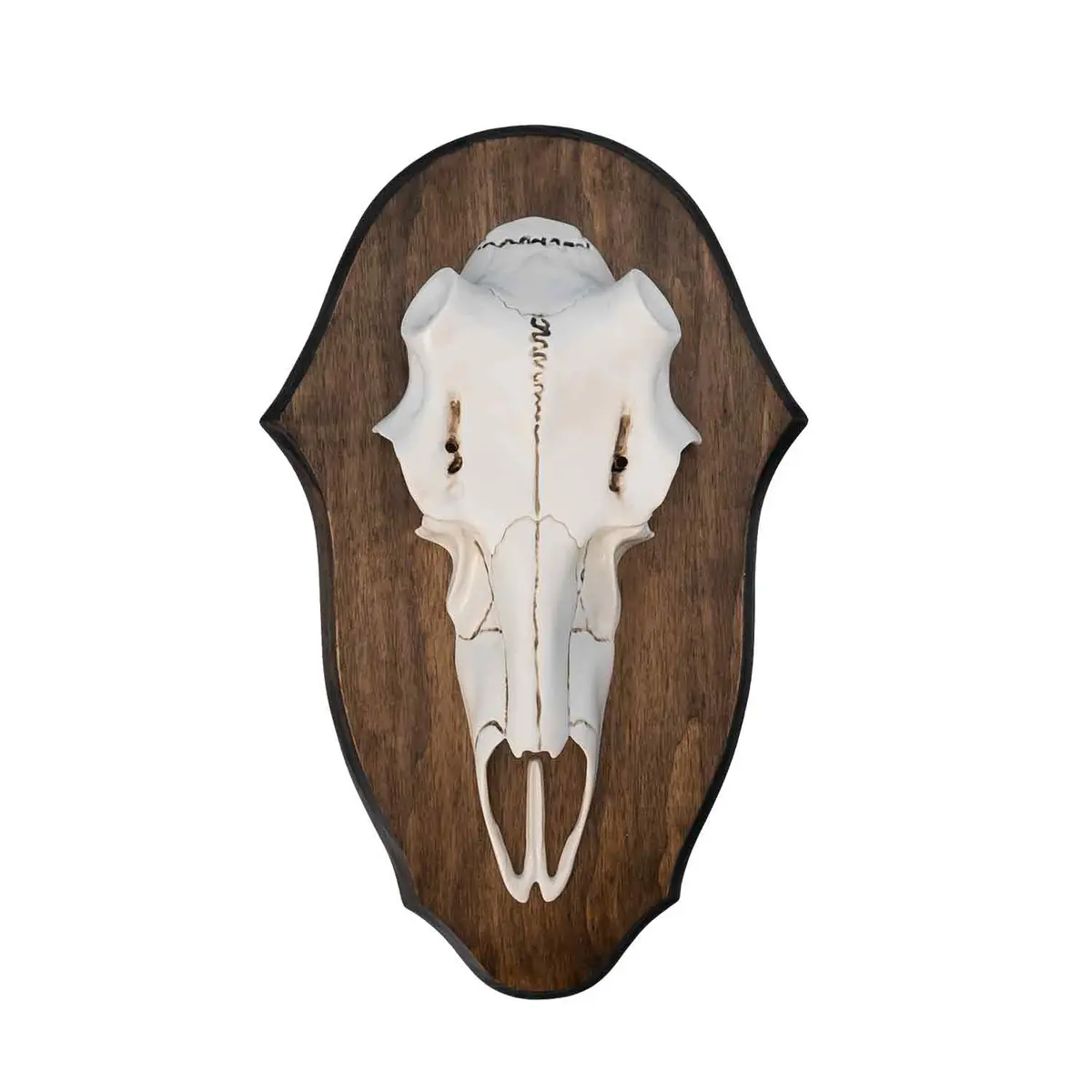 Illusion Black Forest Natural Causes Antler Mount Kit 1
