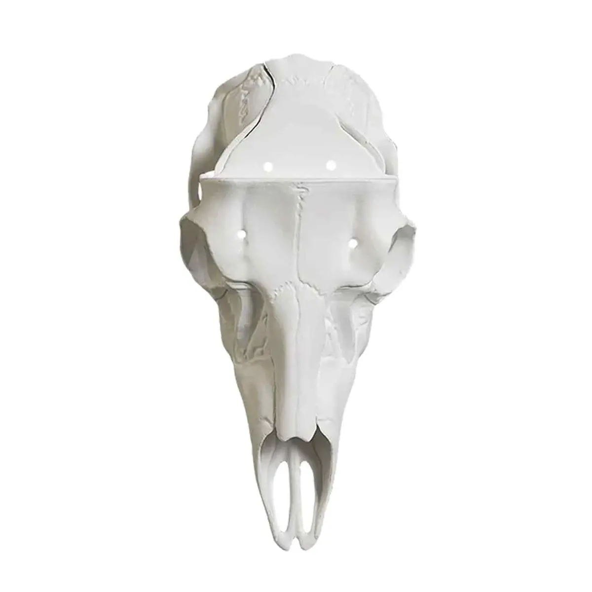 Illusion Record Keeper Antler Mounting Kit 1