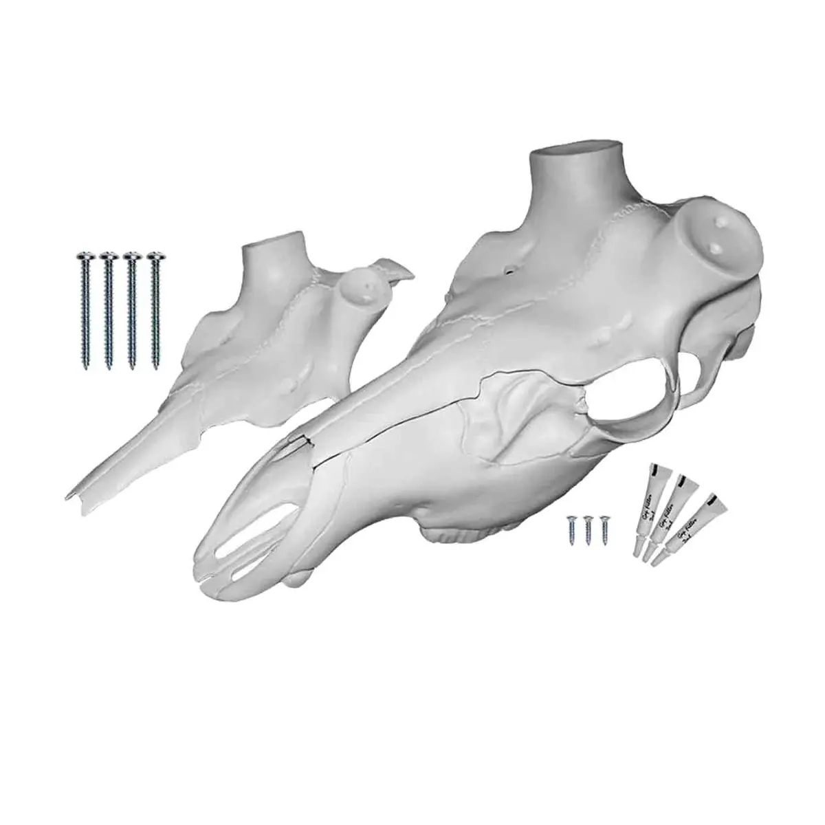 Illusion Elk Skull Master European Mounting Kit 1
