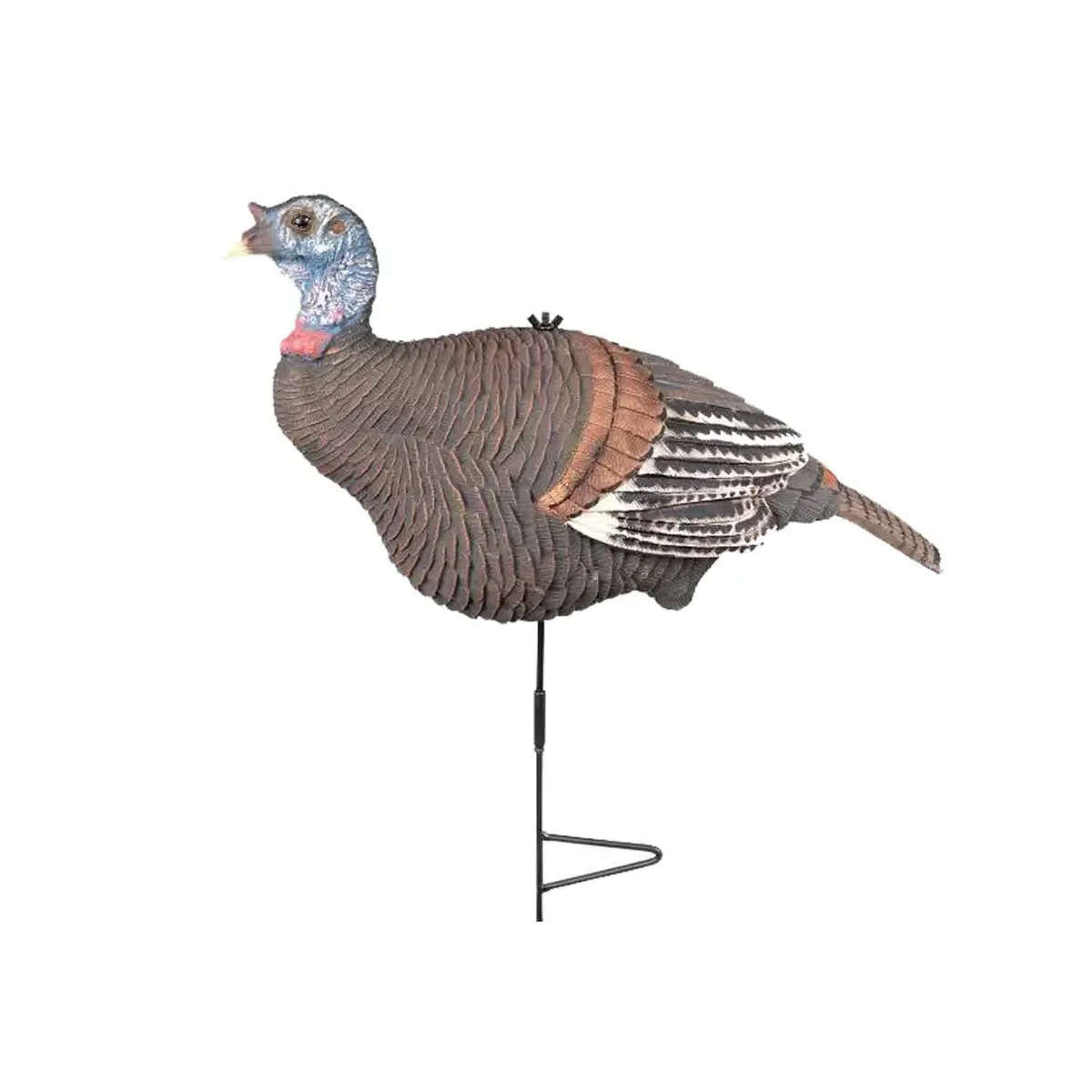 Knight And Hale Turkey Hen Decoy 2