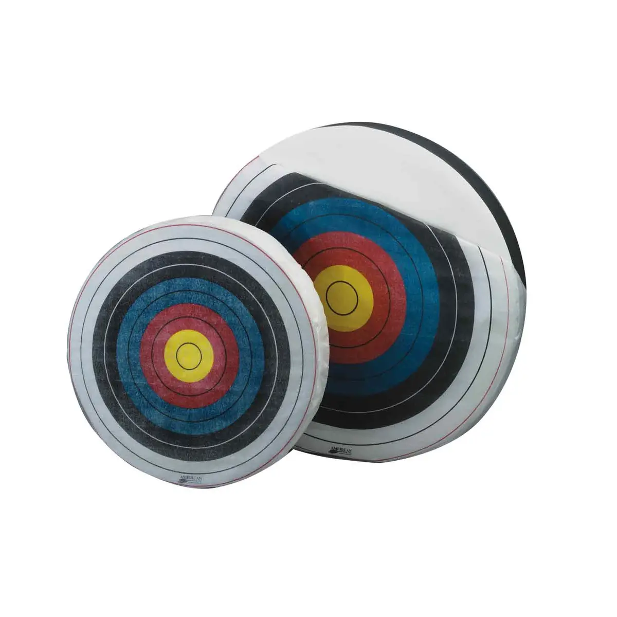 American Whitetail A248 School And Camp Target 1
