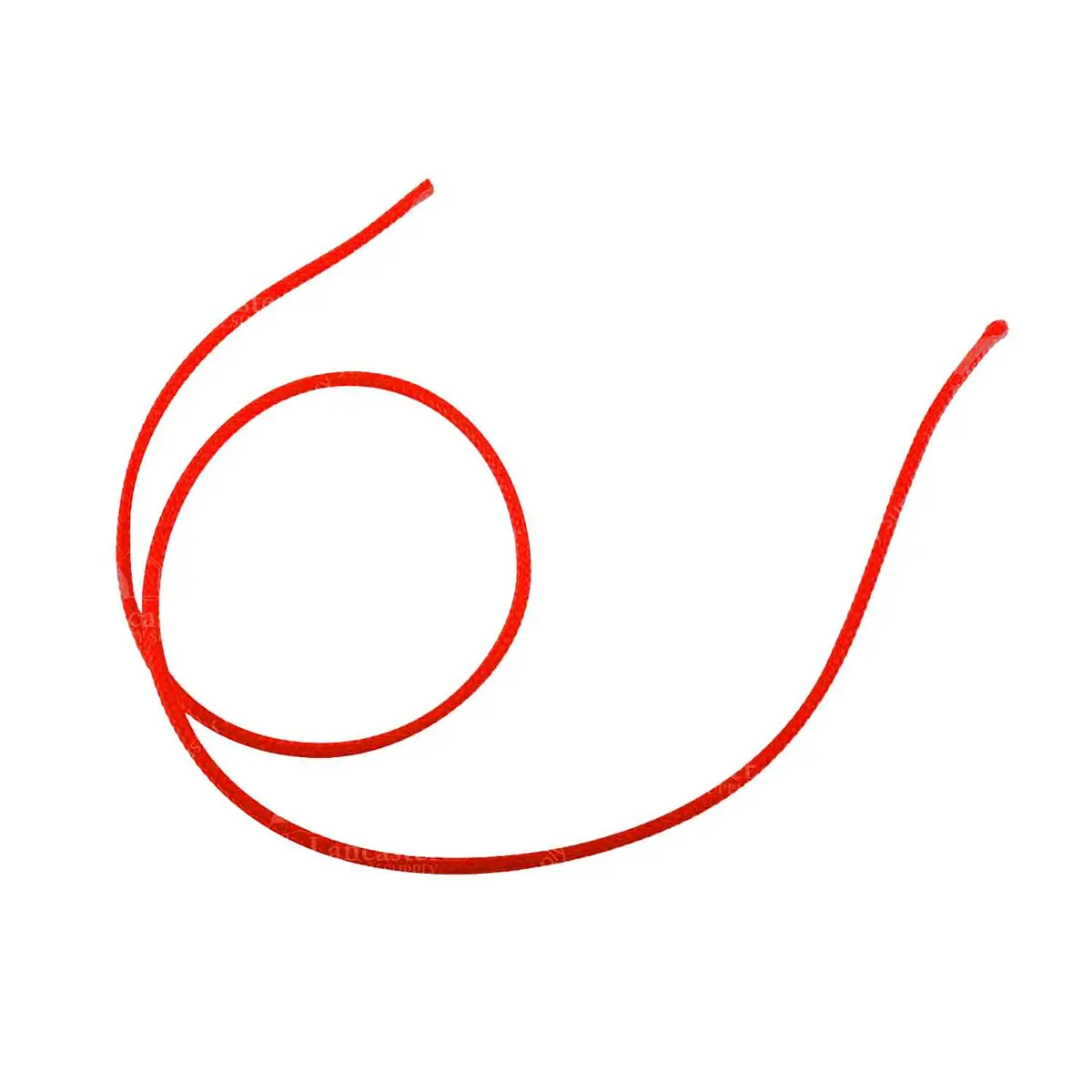 Bcy D Braid Loop Rope (Foot) 1