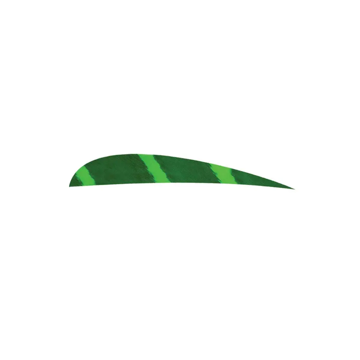 Ozark 3" Parabolic Barred Color Feather 5