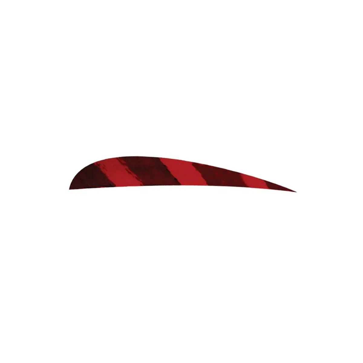 Ozark 3" Parabolic Barred Color Feather 6