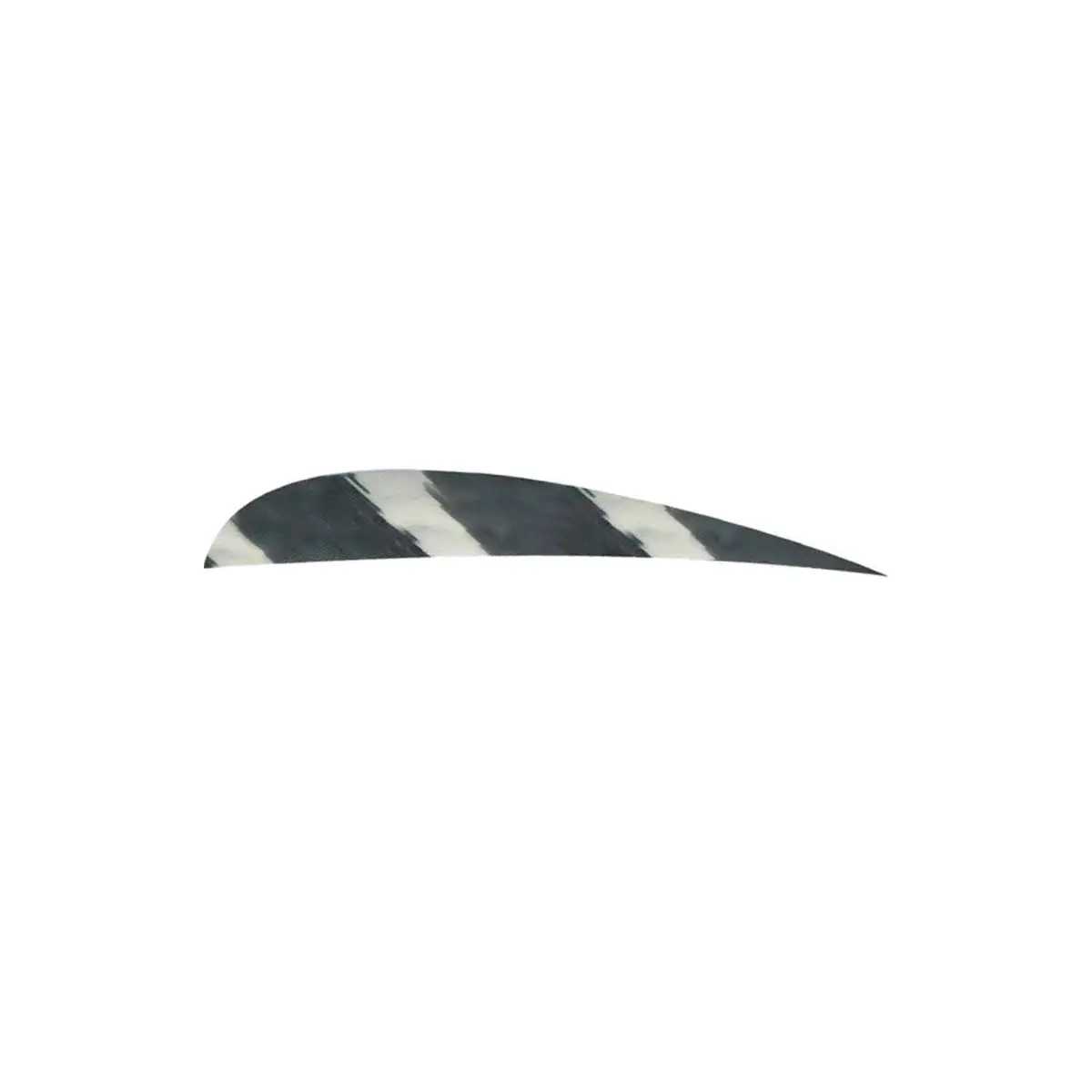 Ozark 3" Parabolic Barred Color Feather 6