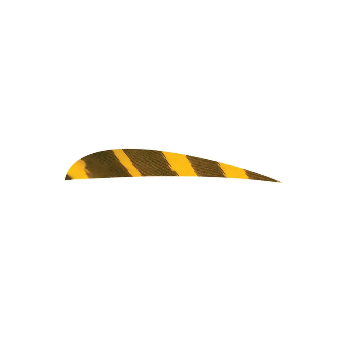 Ozark 3" Parabolic Barred Color Feather 4