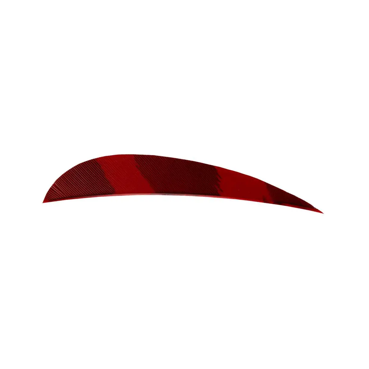 Ozark 4" Parabolic Barred Color Feather 7