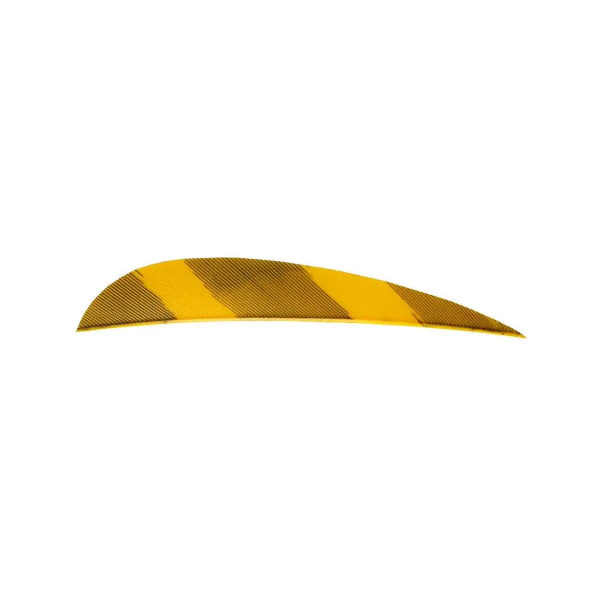 Ozark 4" Parabolic Barred Color Feather 5