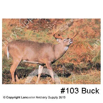Delta Mckenzie Tru-Life Large Animal Target Face 1