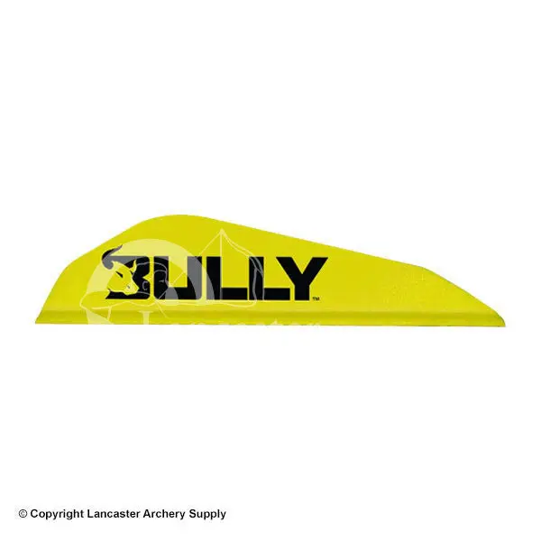 Easton Bully Boattail Vanes 3" (100 Pack) 1