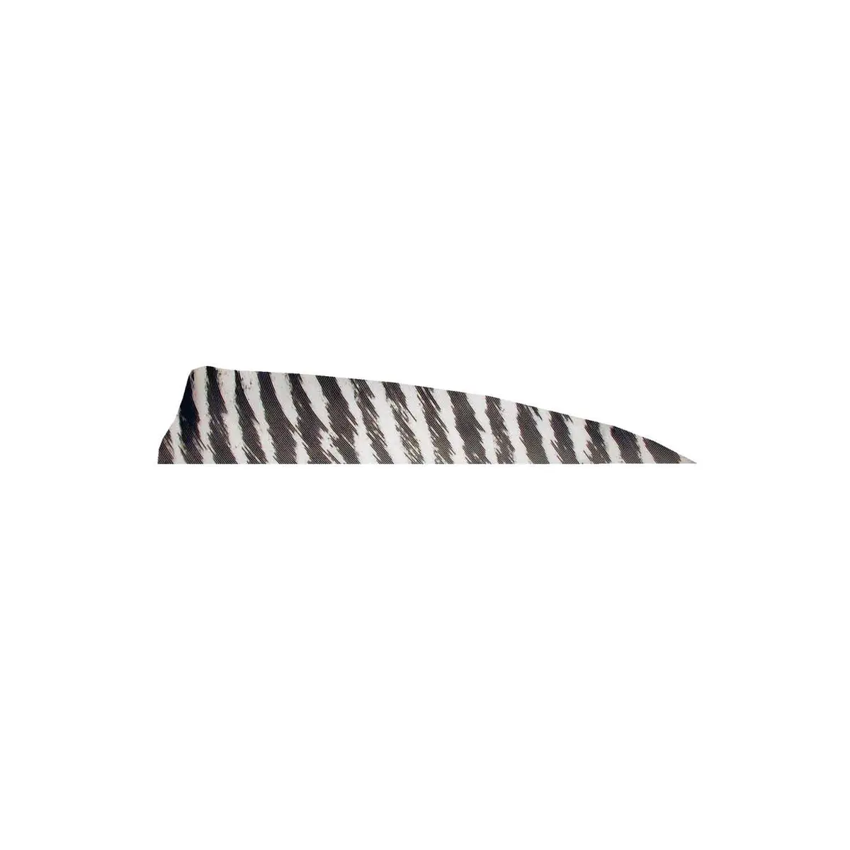 Gateway 4" Shield Barred Feather 1