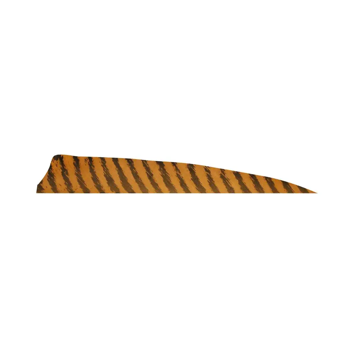Gateway 5" Shield Barred Feather 7
