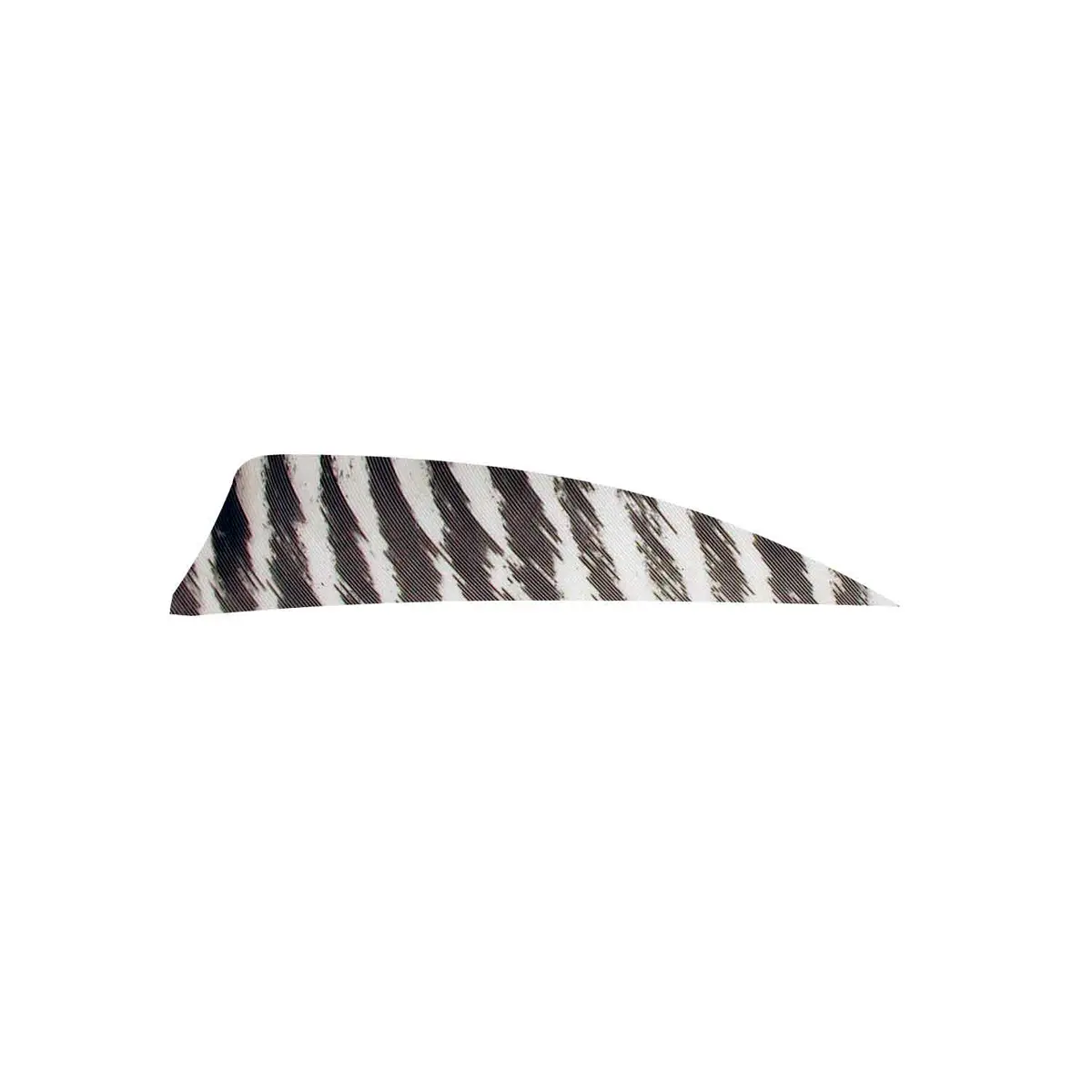 Gateway 3" Shield Barred Feather 1