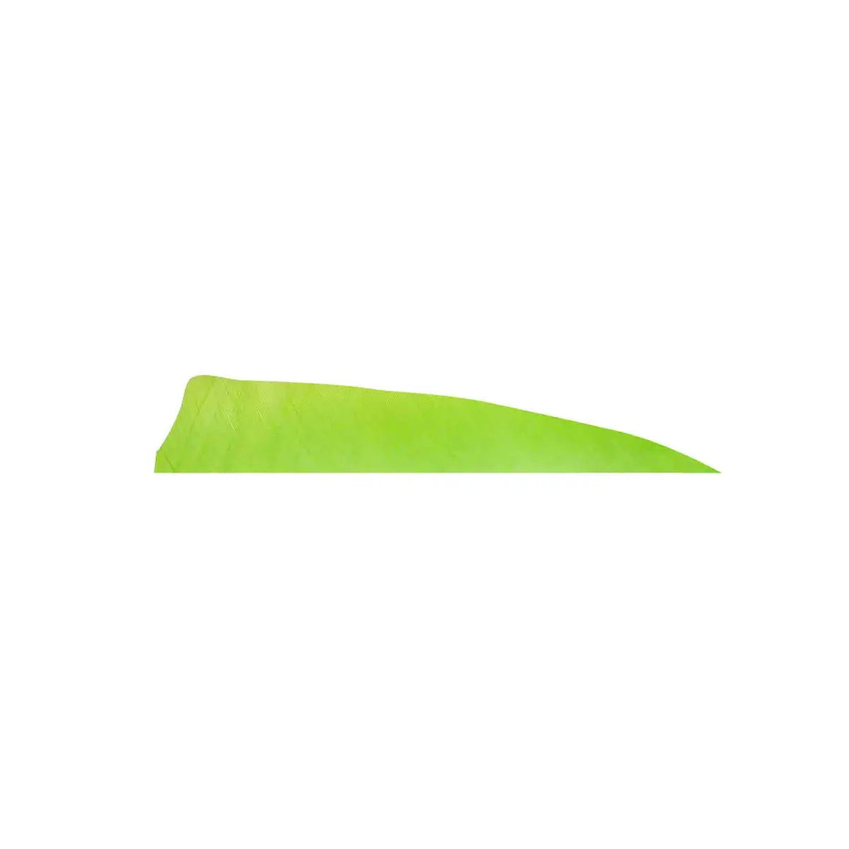 Gateway 4" Shield Feather 5