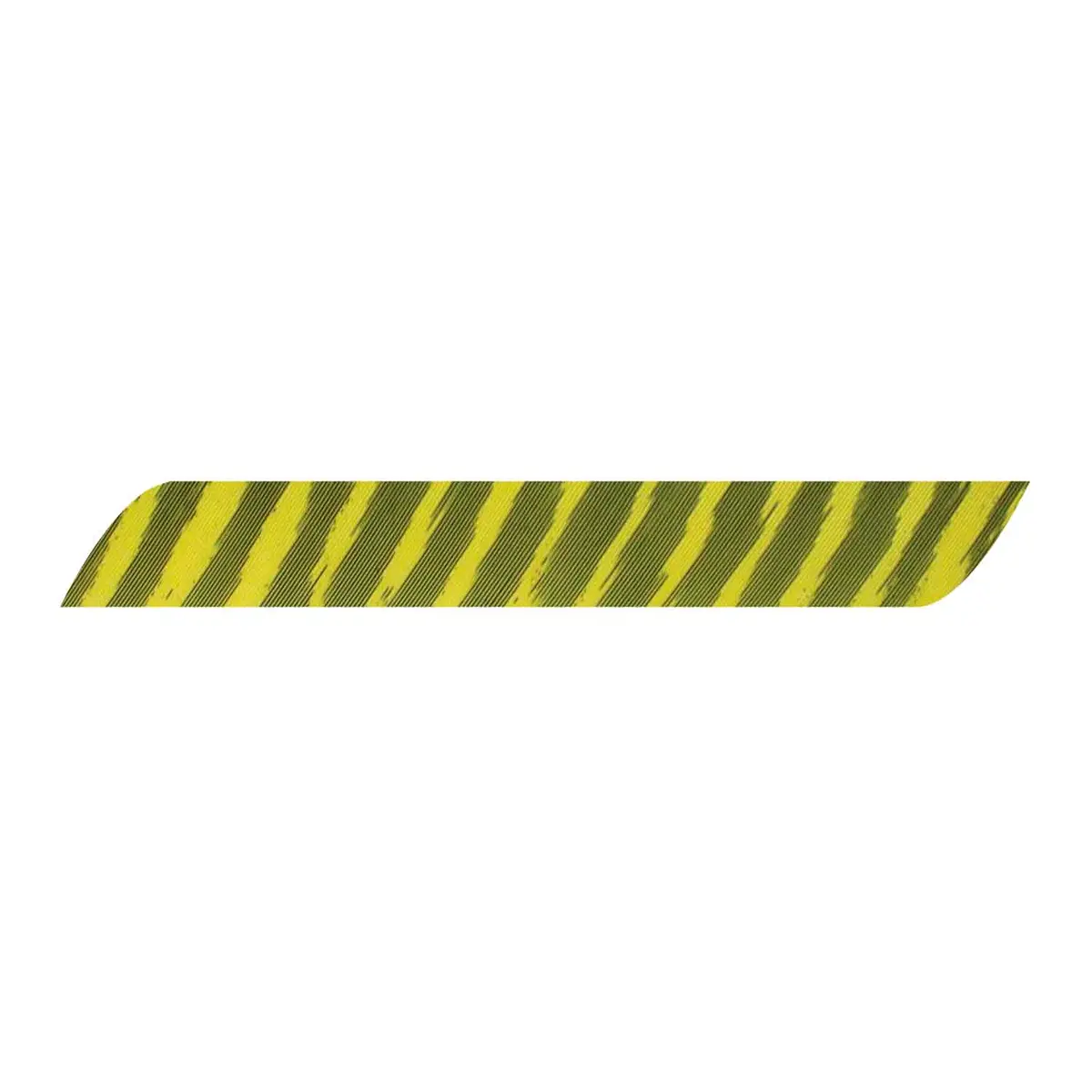 Gateway Full-Length Barred Feather – 8 to 12 Inches