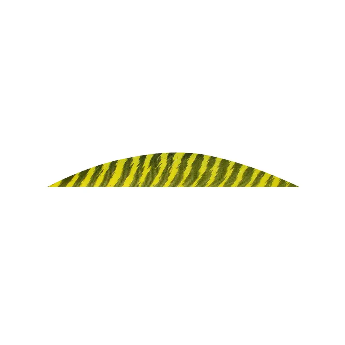 Gateway Magnum 5.5-Inch Banana-Shaped Barred Feather Dart