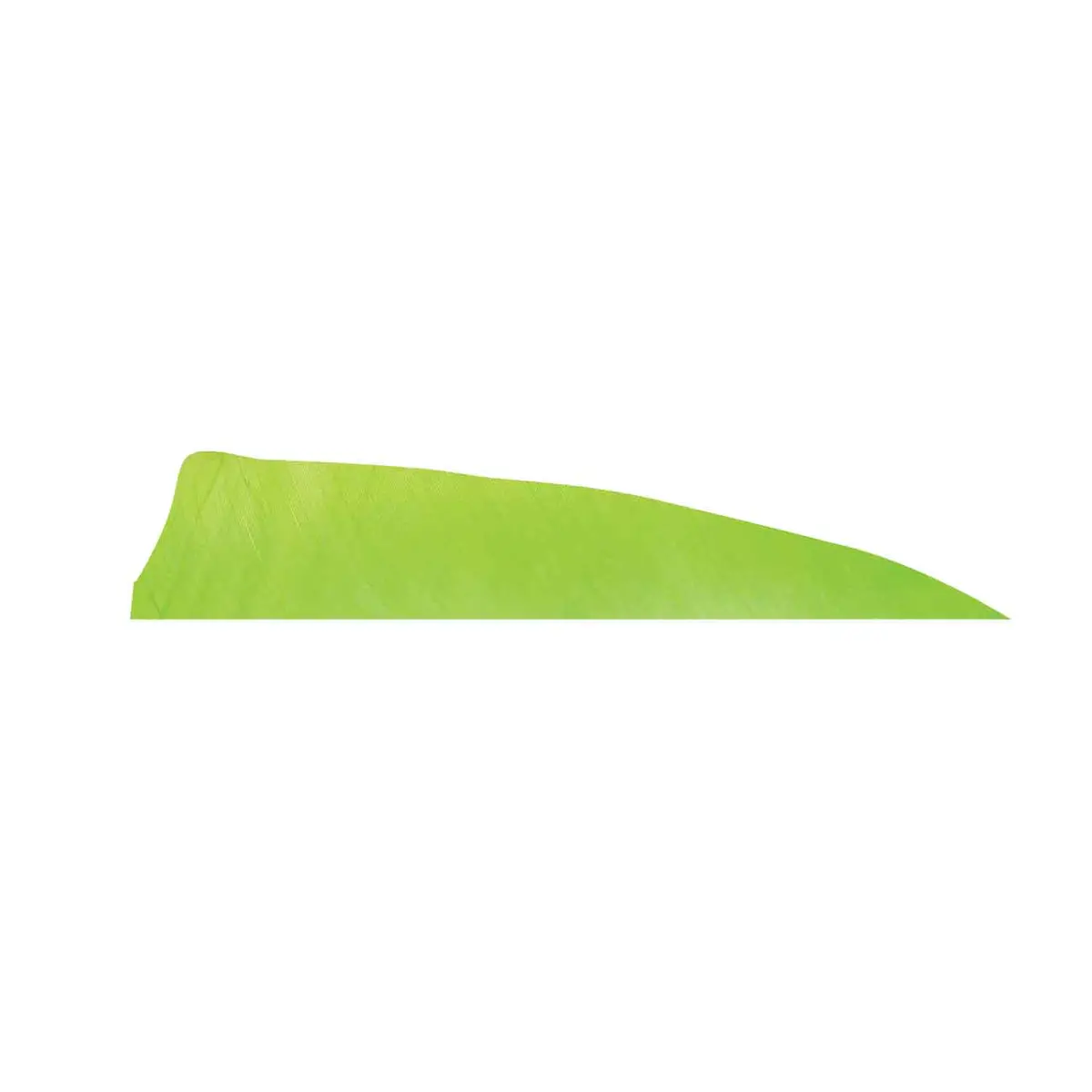 Gateway 3" Shield Feather 4