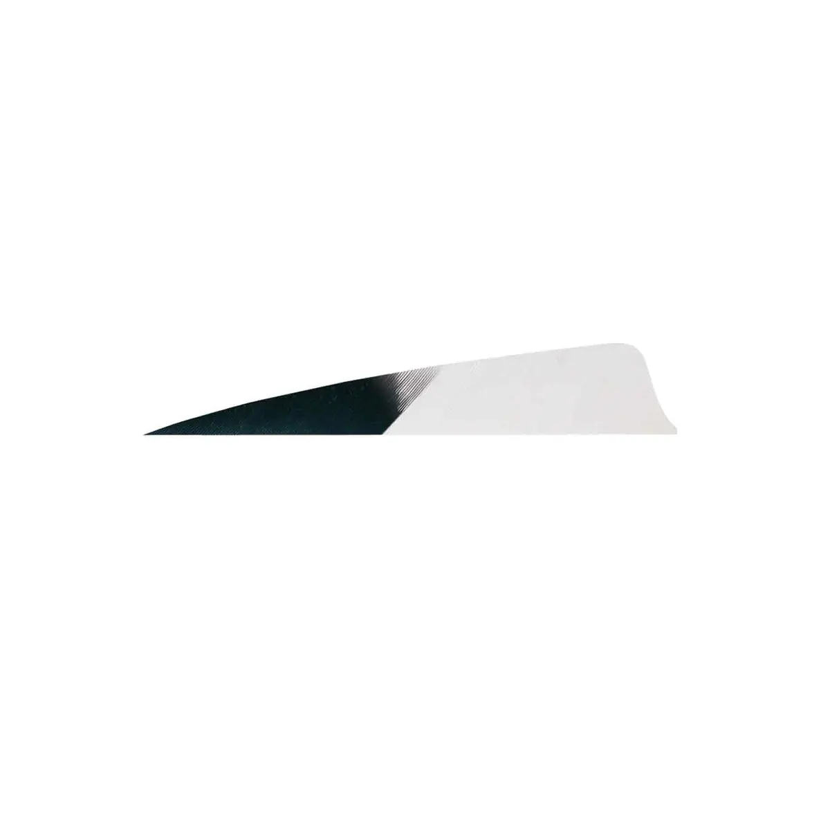 Gateway 4" Shield Hann-Bun Kuro Feather 1