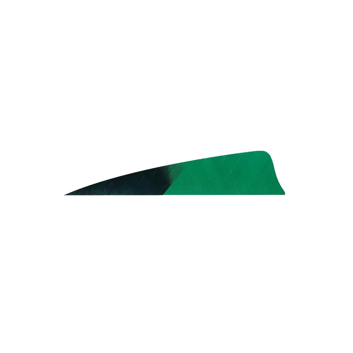 Gateway 3" Shield Hann-Bun Kuro Feather 12