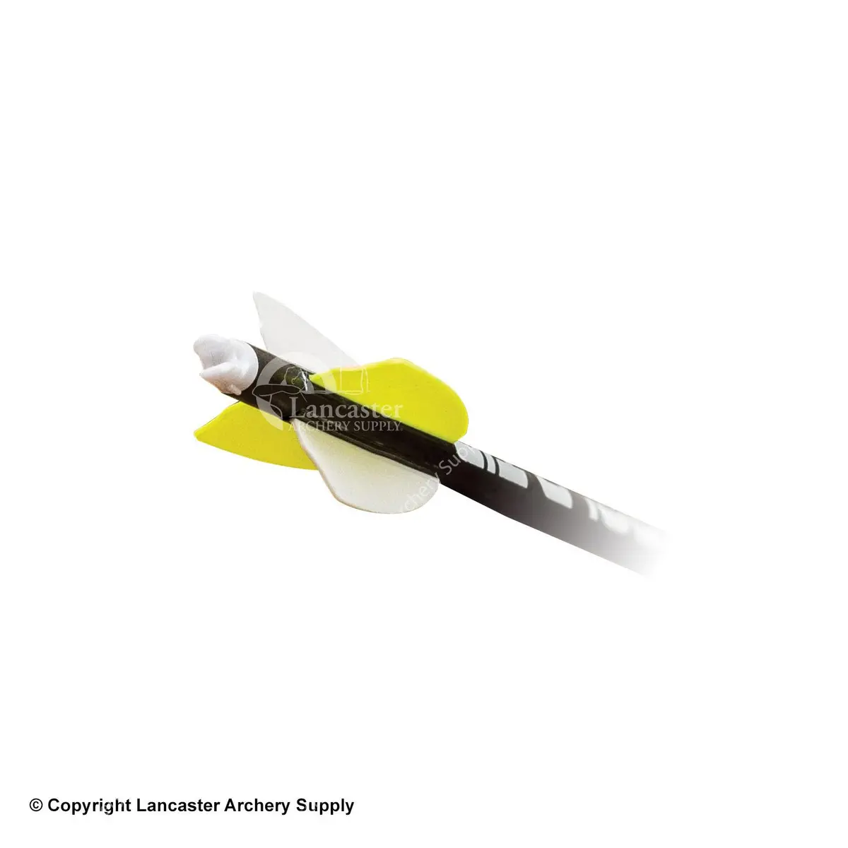 Gold Tip Velocity Valkyrie Xt Fletched Arrows 2