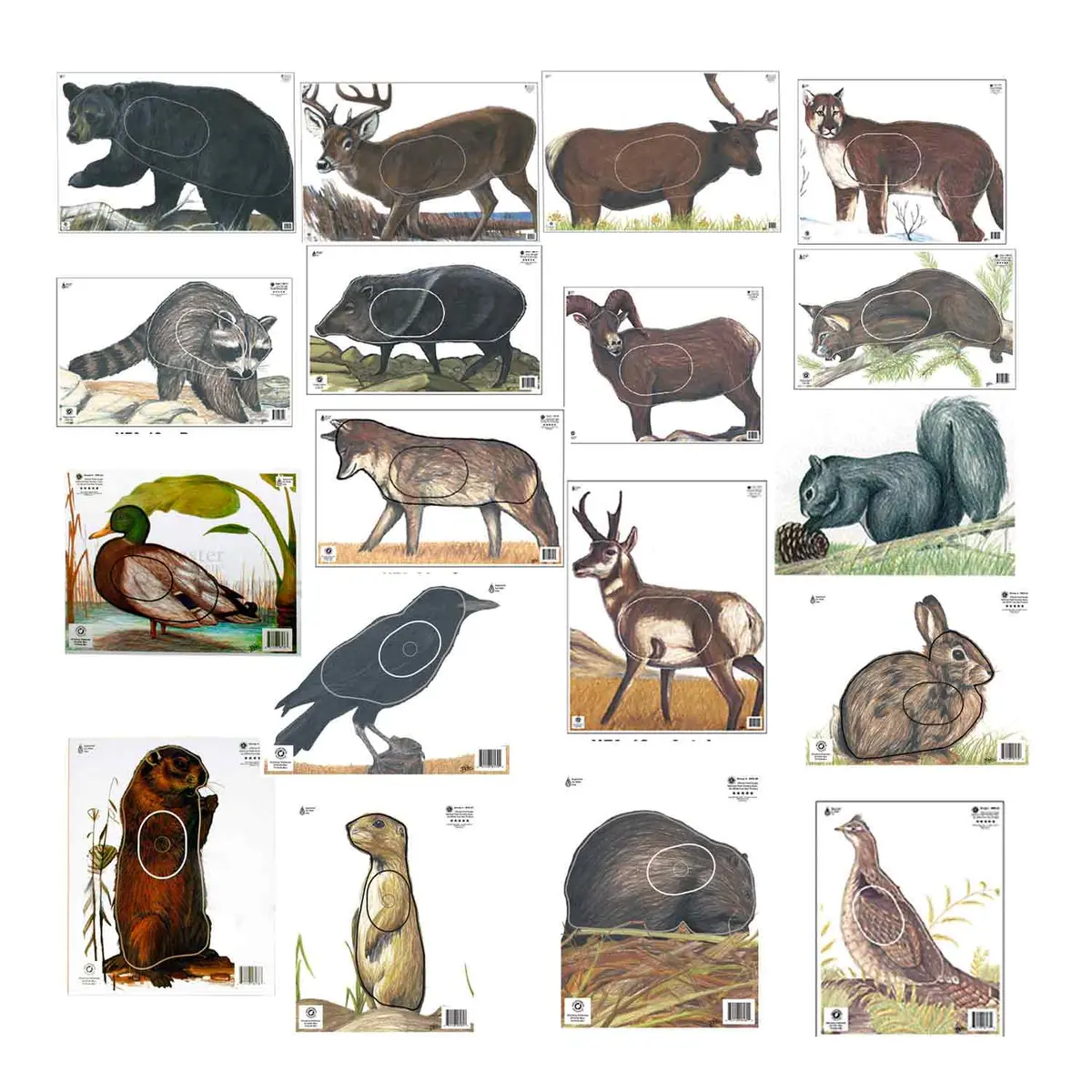 Maple Leaf Official Nfaa A-1 Animal 14 Target Set 1