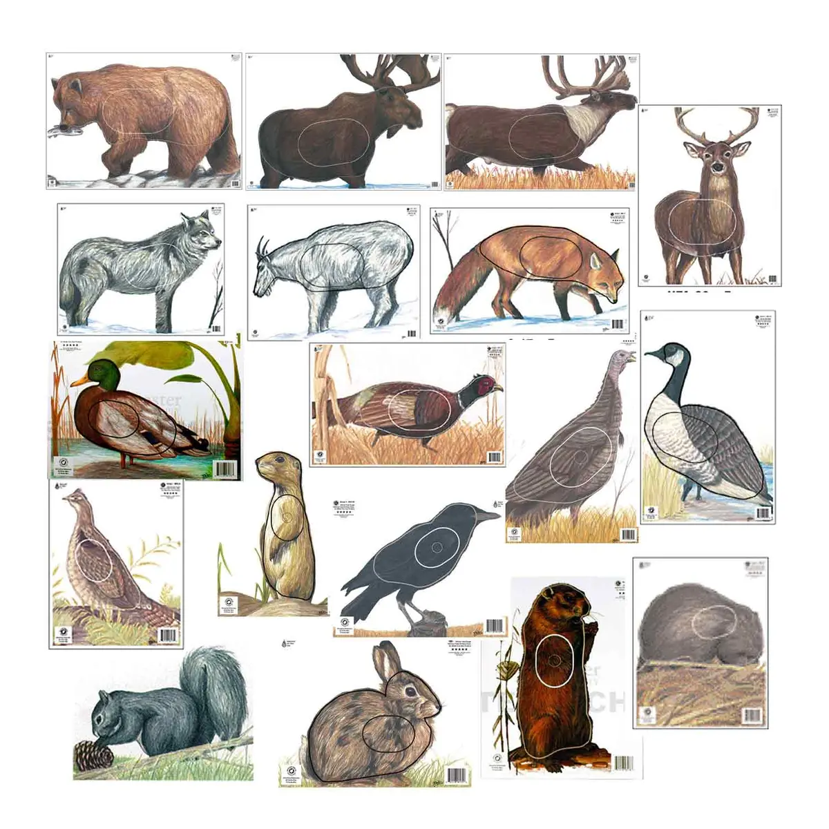 Maple Leaf Official Nfaa A-2 Animal 18 Target Set 1