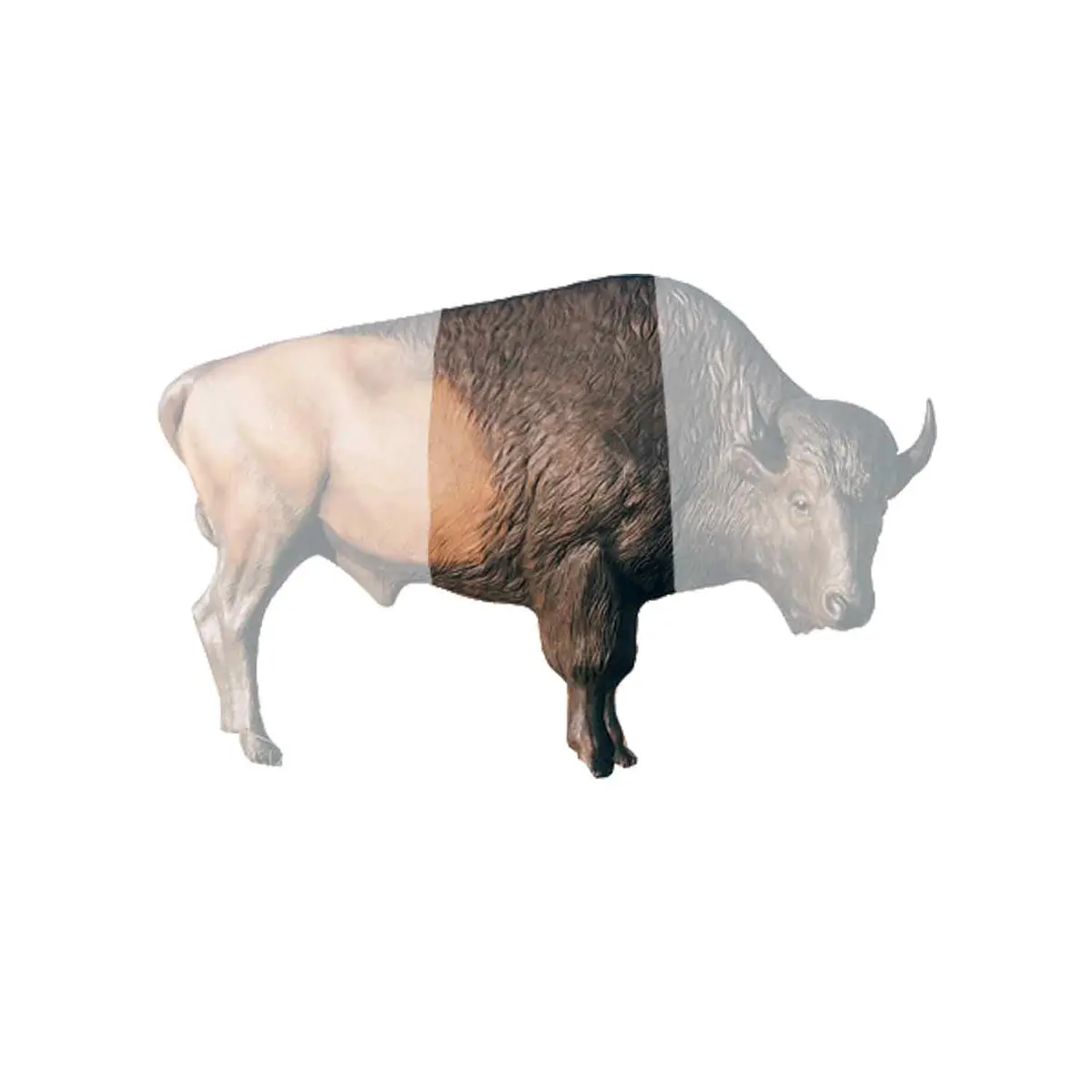 Delta Mckenzie Bison Pro 3D Midsection 1