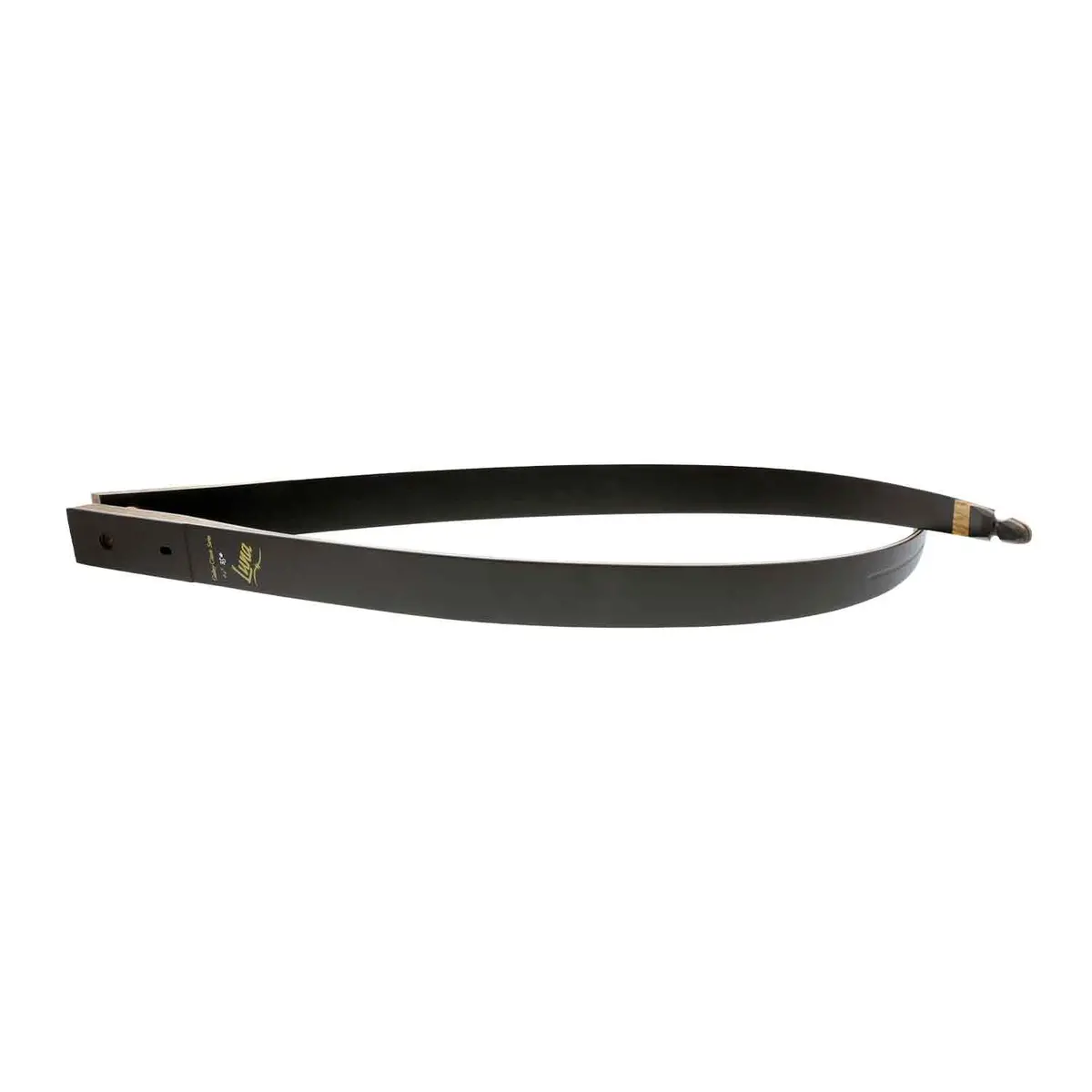 Galaxy Luna  Take-Down Recurve Limbs 1