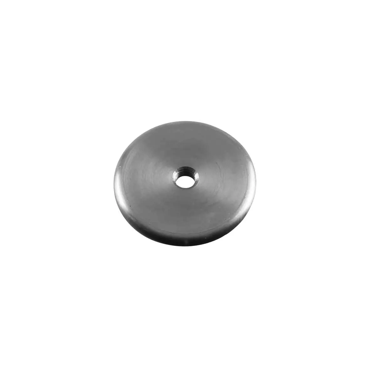Shrewd Stainless Steel 1 Oz. Weight 1