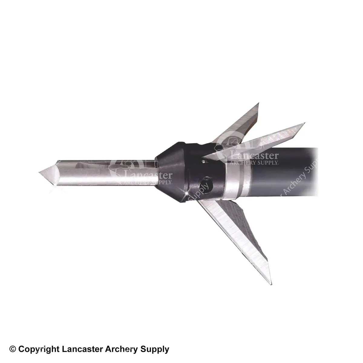 Innerloc Carnage 100 Gr. Broadheads 1