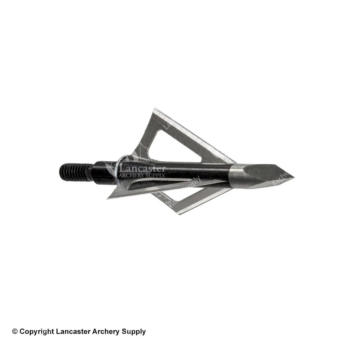 Wasp Boss 100Gr. 3 Blade Broadheads 1