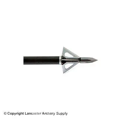 Wasp Drone Broadheads (100 Gr.) 1