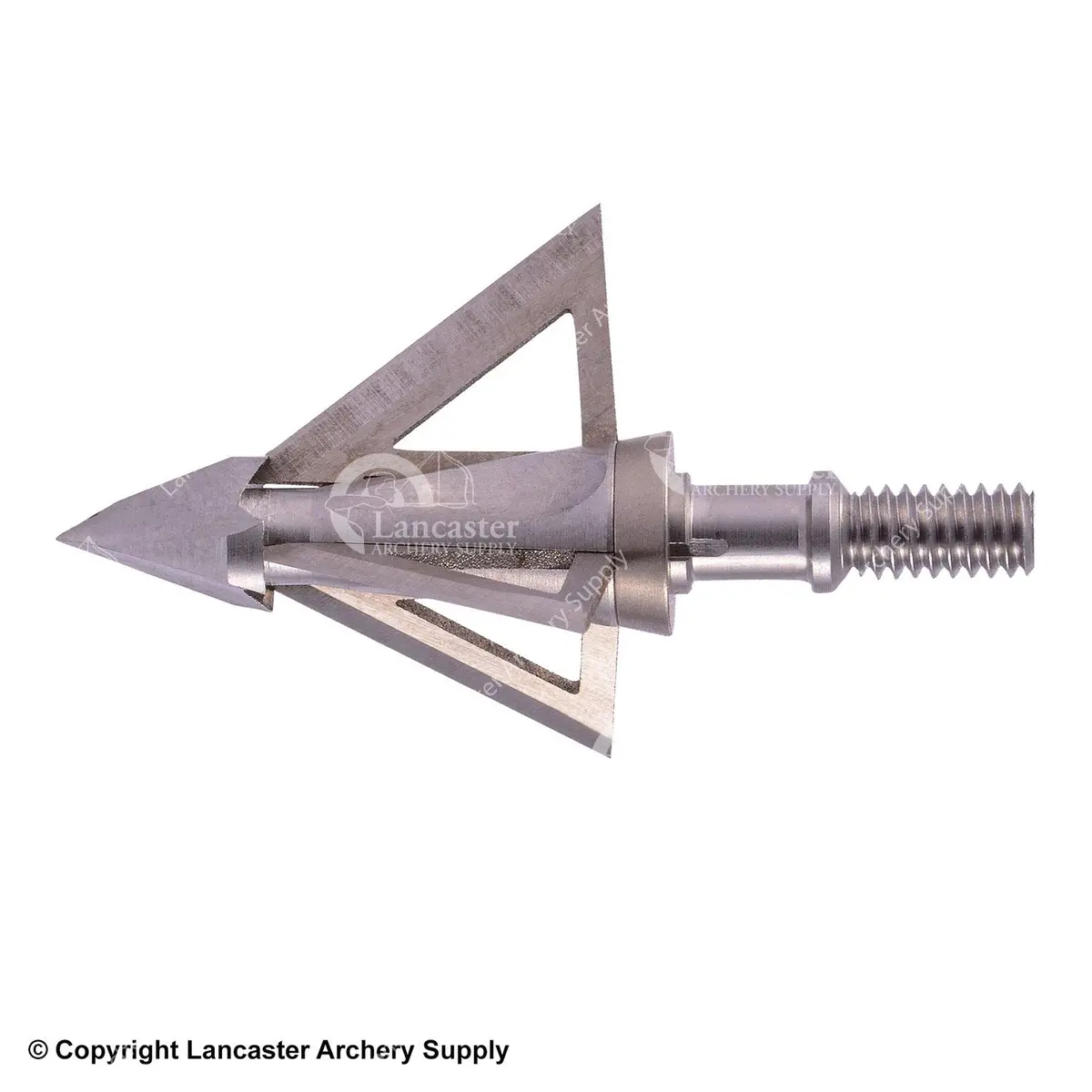 Wasp Mortem Broadhead 1