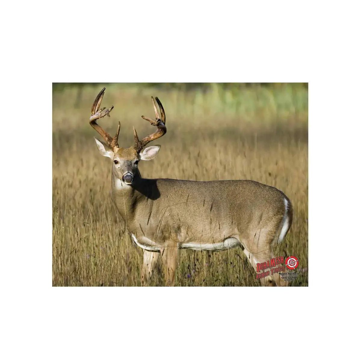 Duramesh X-Large Big Game Archery Targets 5