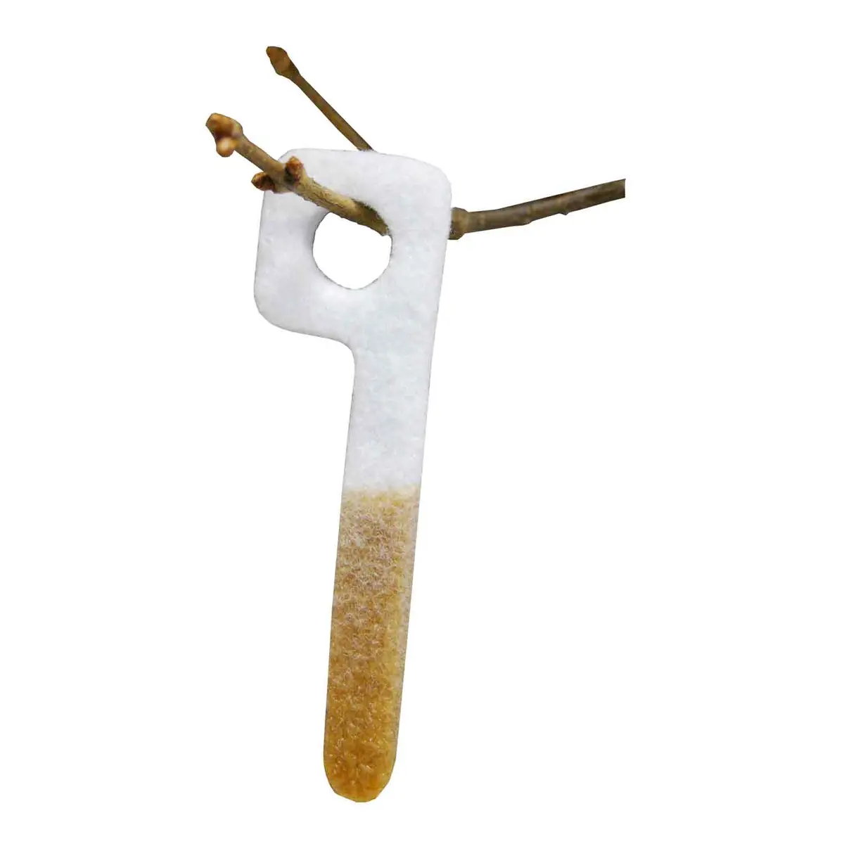 Wildlife Research Center Key-Wick 1