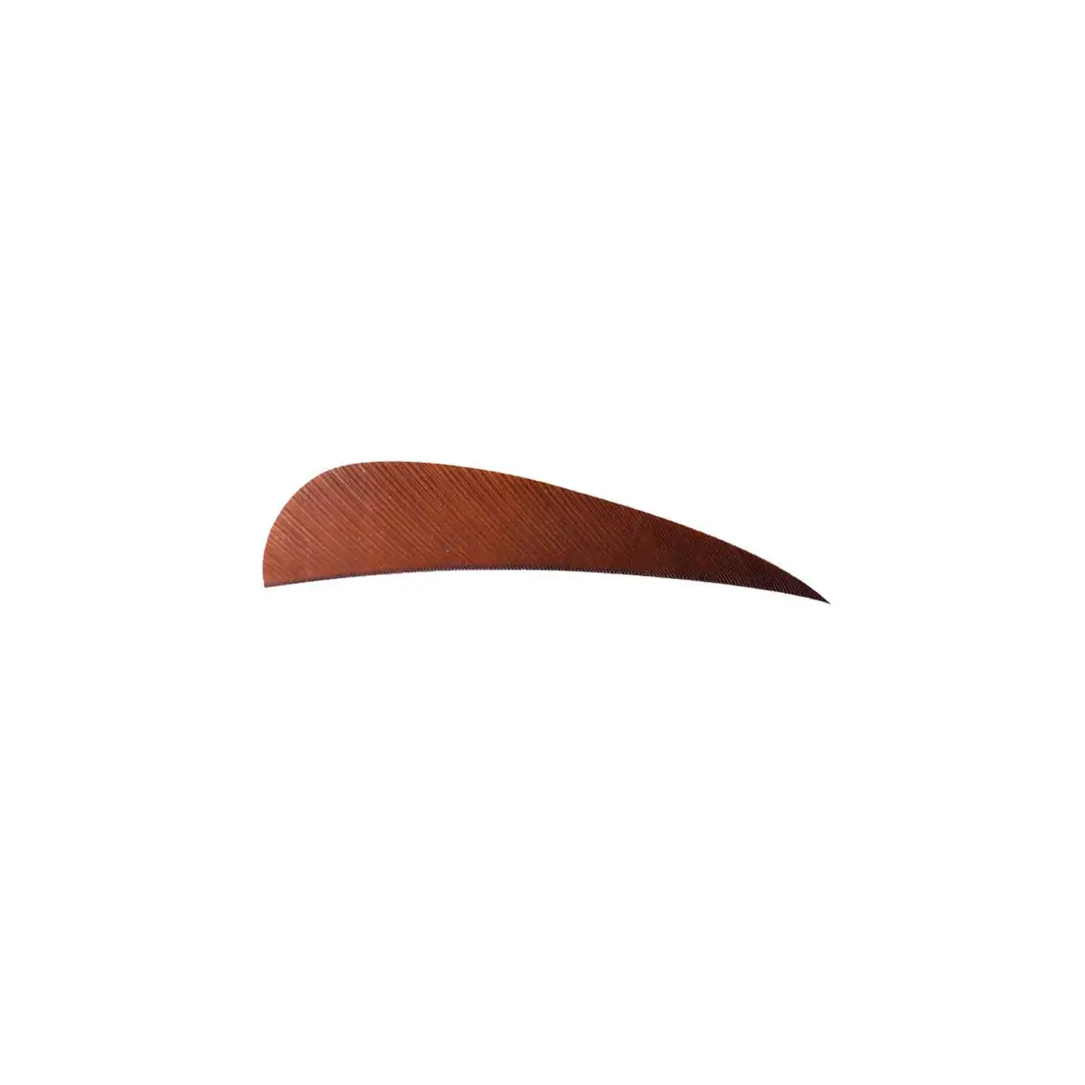 Trueflight 3" Rw Round Back Feather 10